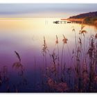 Spaziergang am Steinhuder Meer