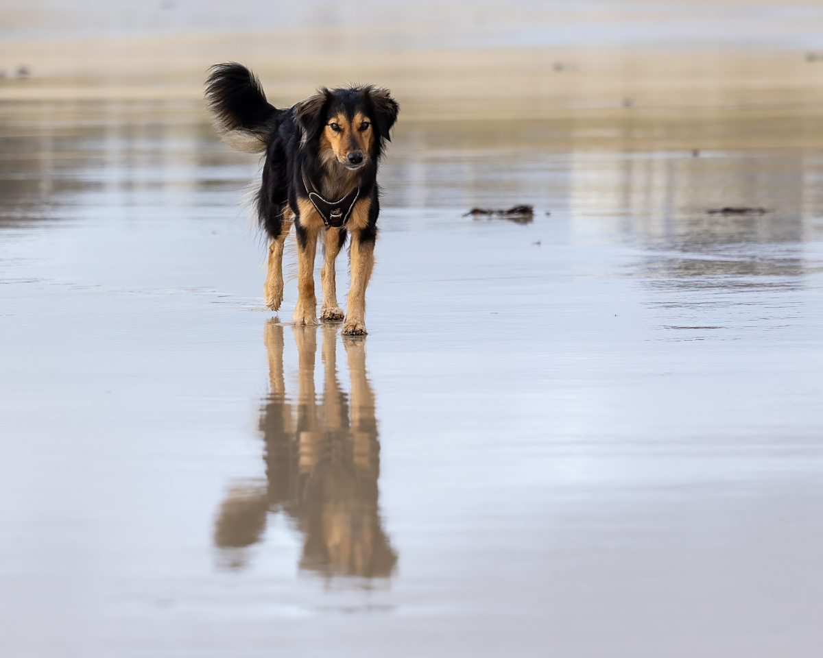 Spaziergang am Strand