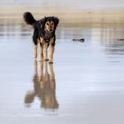 Spaziergang am Strand