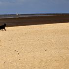 Spaziergang am Strand