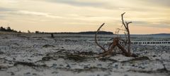 Spaziergang am Strand