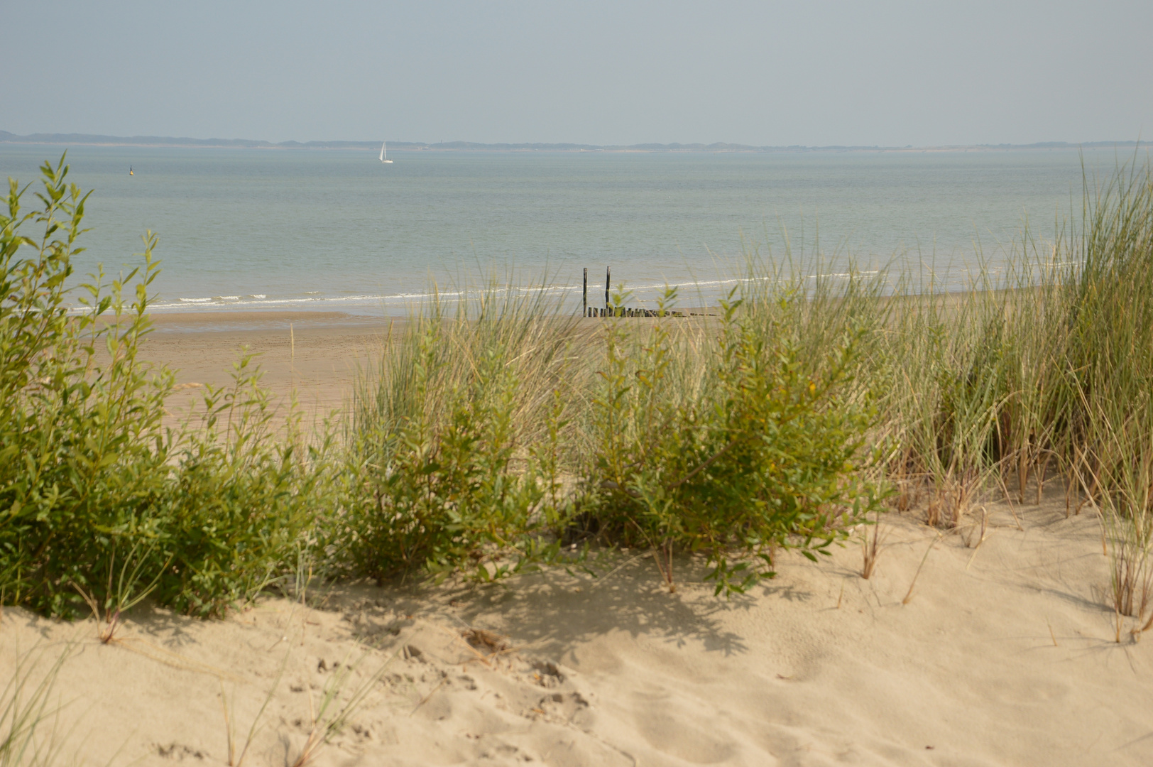 Spaziergang am Strand