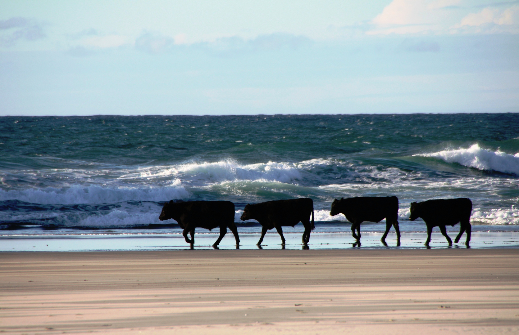 Spaziergang am Strand