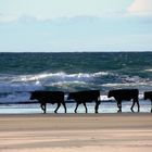 Spaziergang am Strand