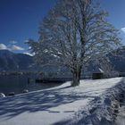 Spaziergang am Tegernsee