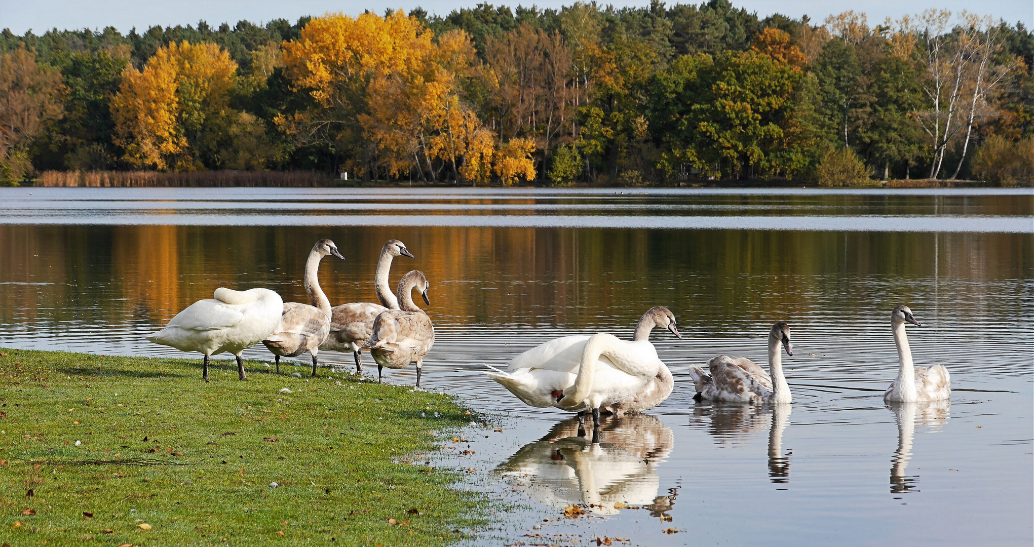 Spaziergang am Teich