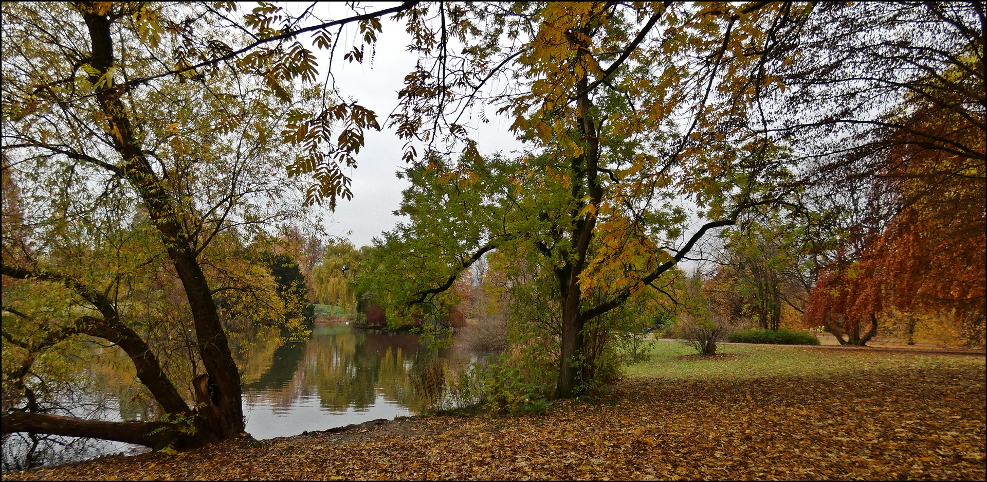 Spaziergang am Teich