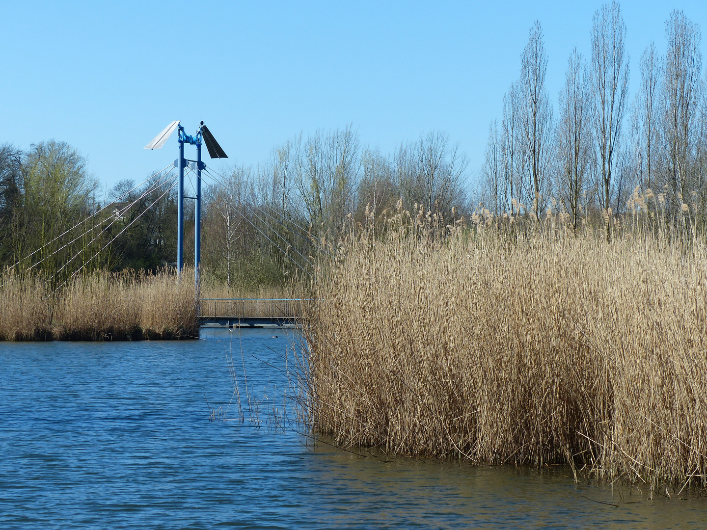 Spaziergang am Teich