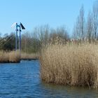 Spaziergang am Teich