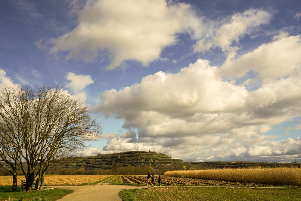 Spaziergang am Tuniberg