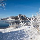 Spaziergang am Walchsee