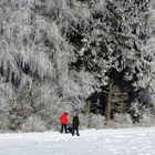 Spaziergang am Waldrand bei starkem Frost 