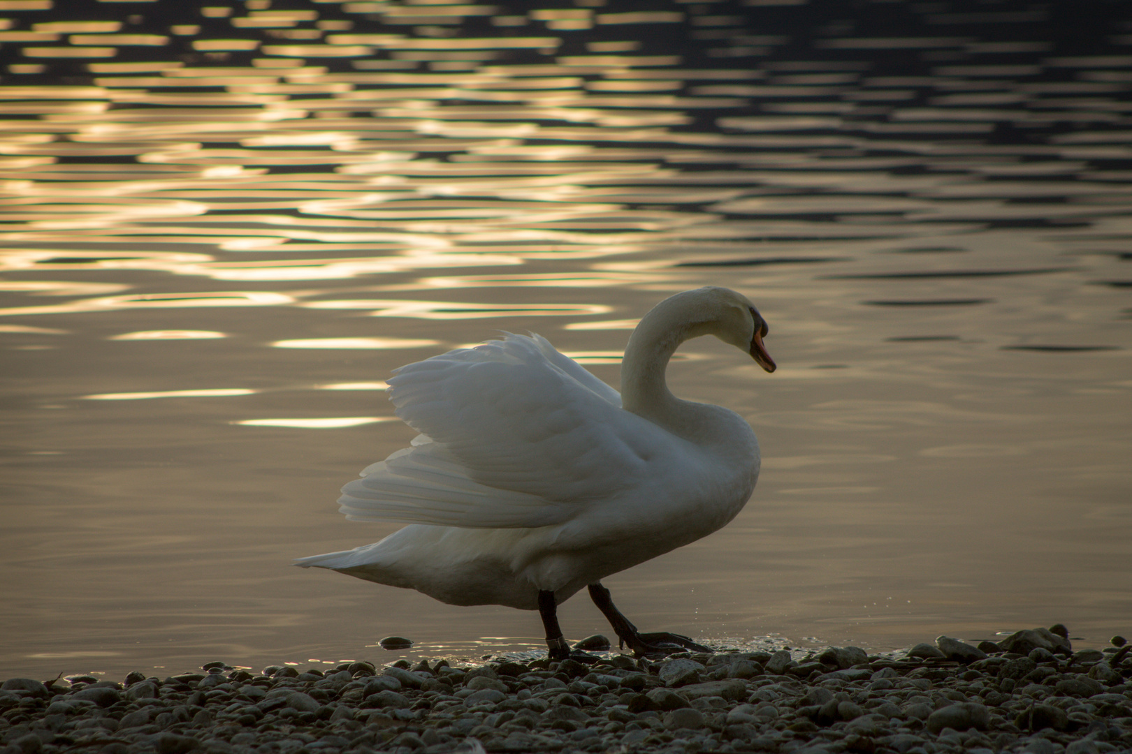 Spaziergang am Wasser...