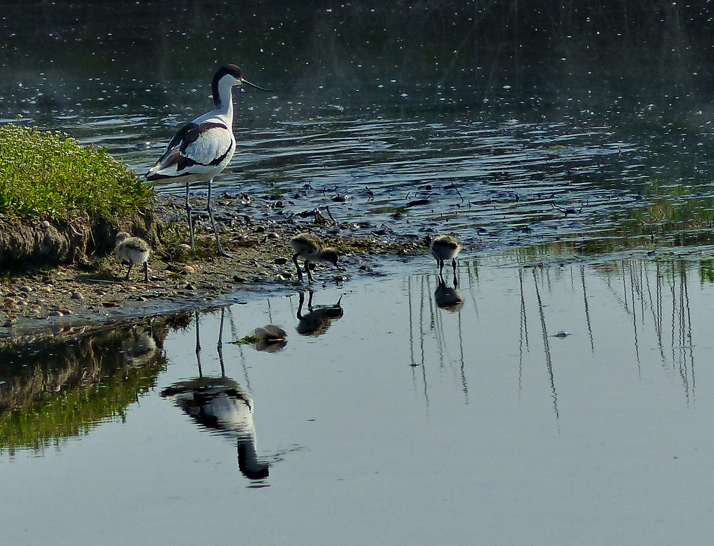 Spaziergang   am Wasser                                                              