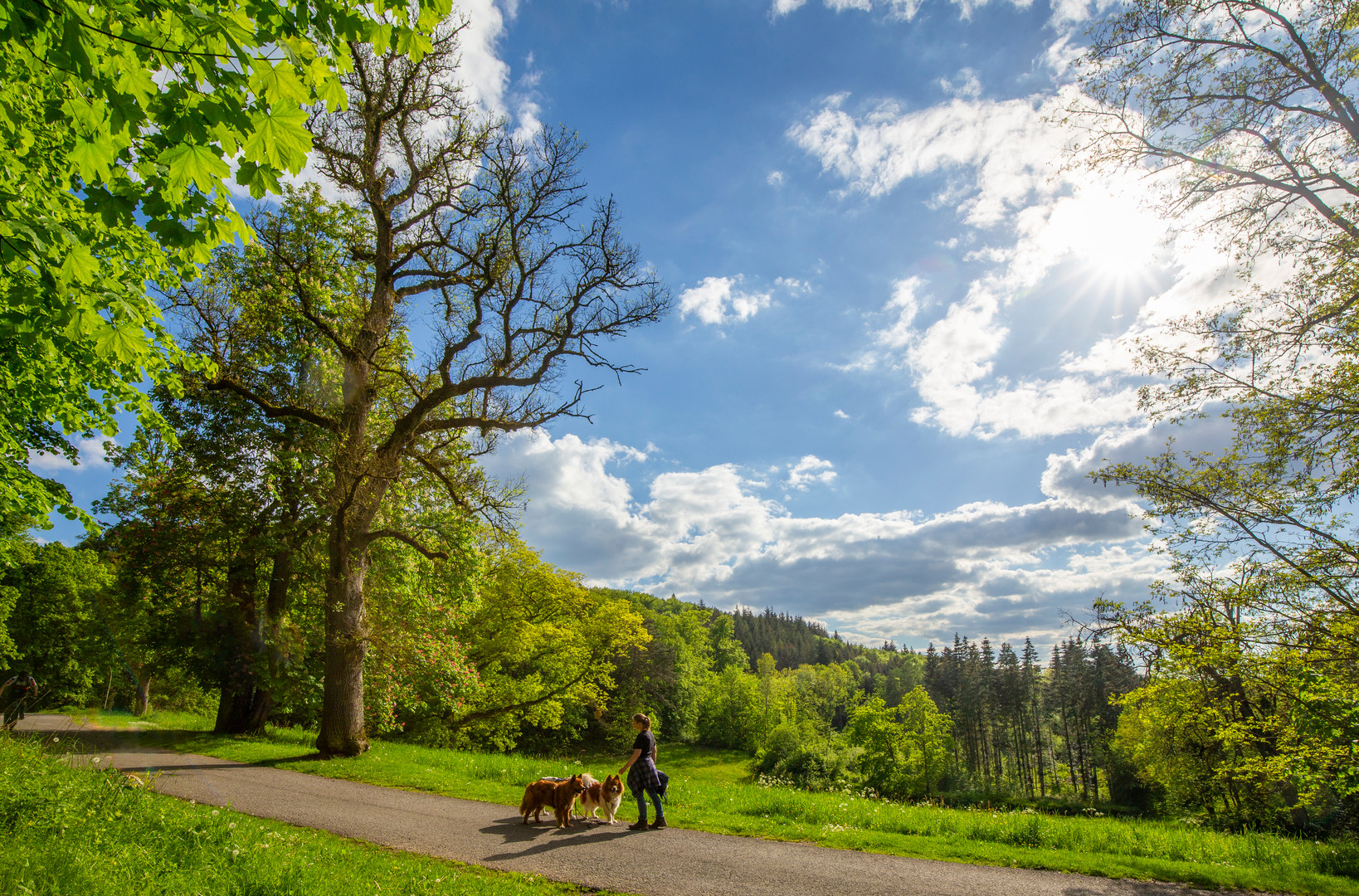 Spaziergang an Christi Himmelfahrt mit drei treuen Begleitern bei Schloss Callenberg