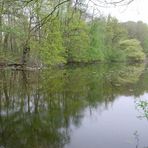 Spaziergang an den Riddagshäuser Klosterteichen.( 1 )