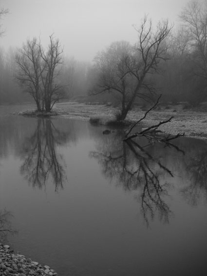 Spaziergang an der Aare