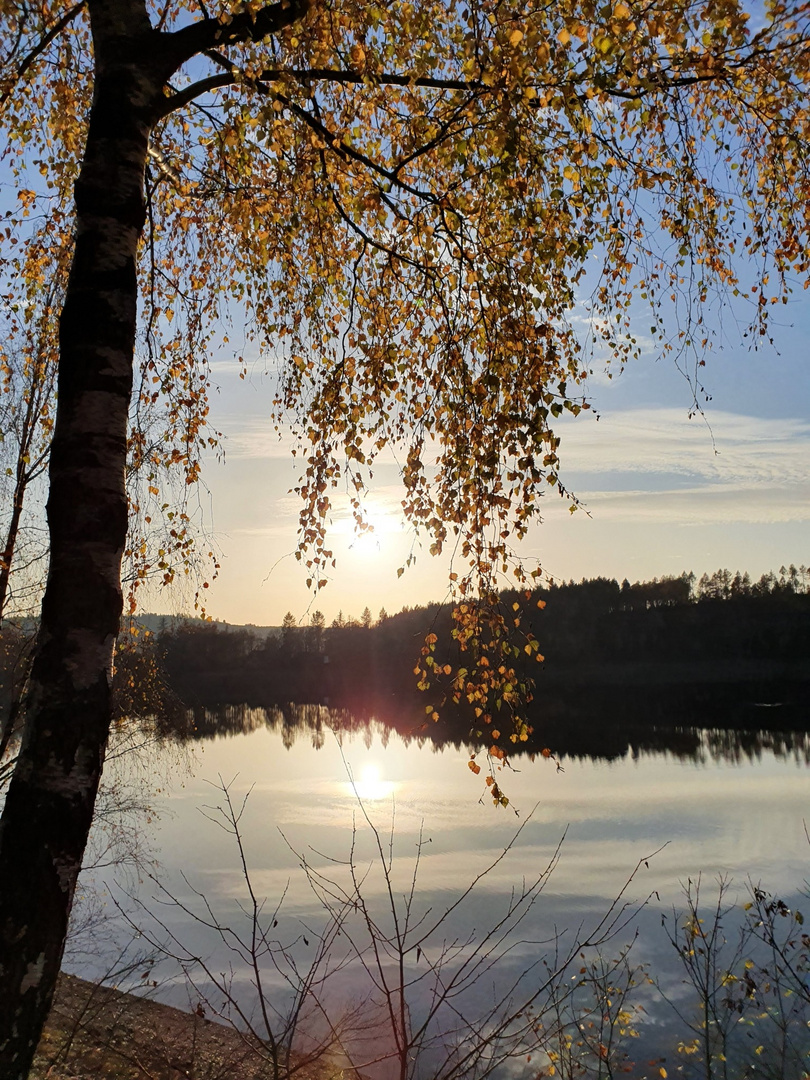 Spaziergang an der breitenbachtalsperre 