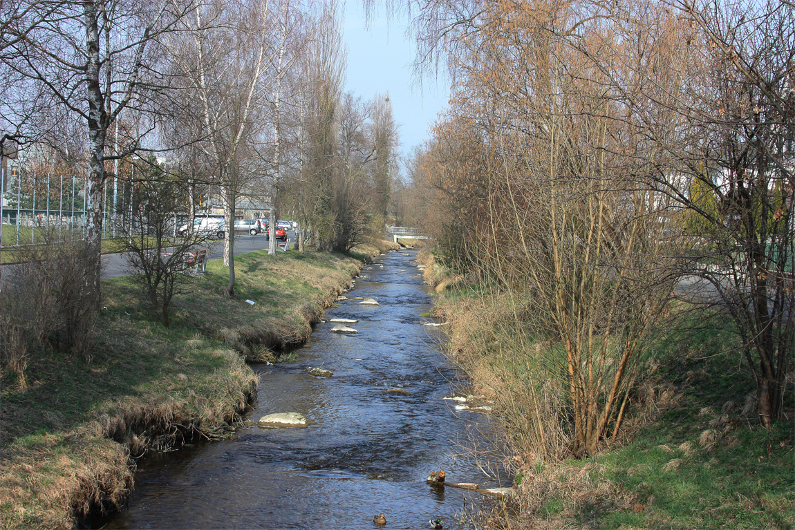 Spaziergang an der Bünz am Sonntag Morgen