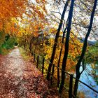 Spaziergang an der Donau