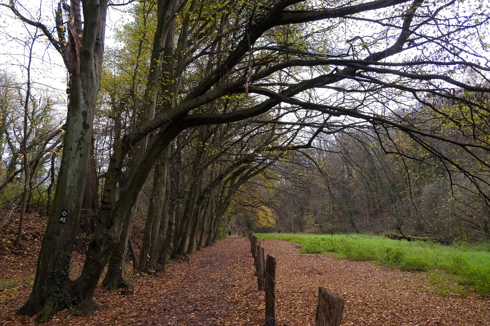 Spaziergang an der Düssel  -1-