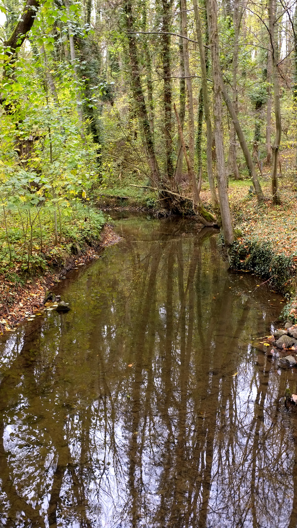 Spaziergang an der Düssel -4-