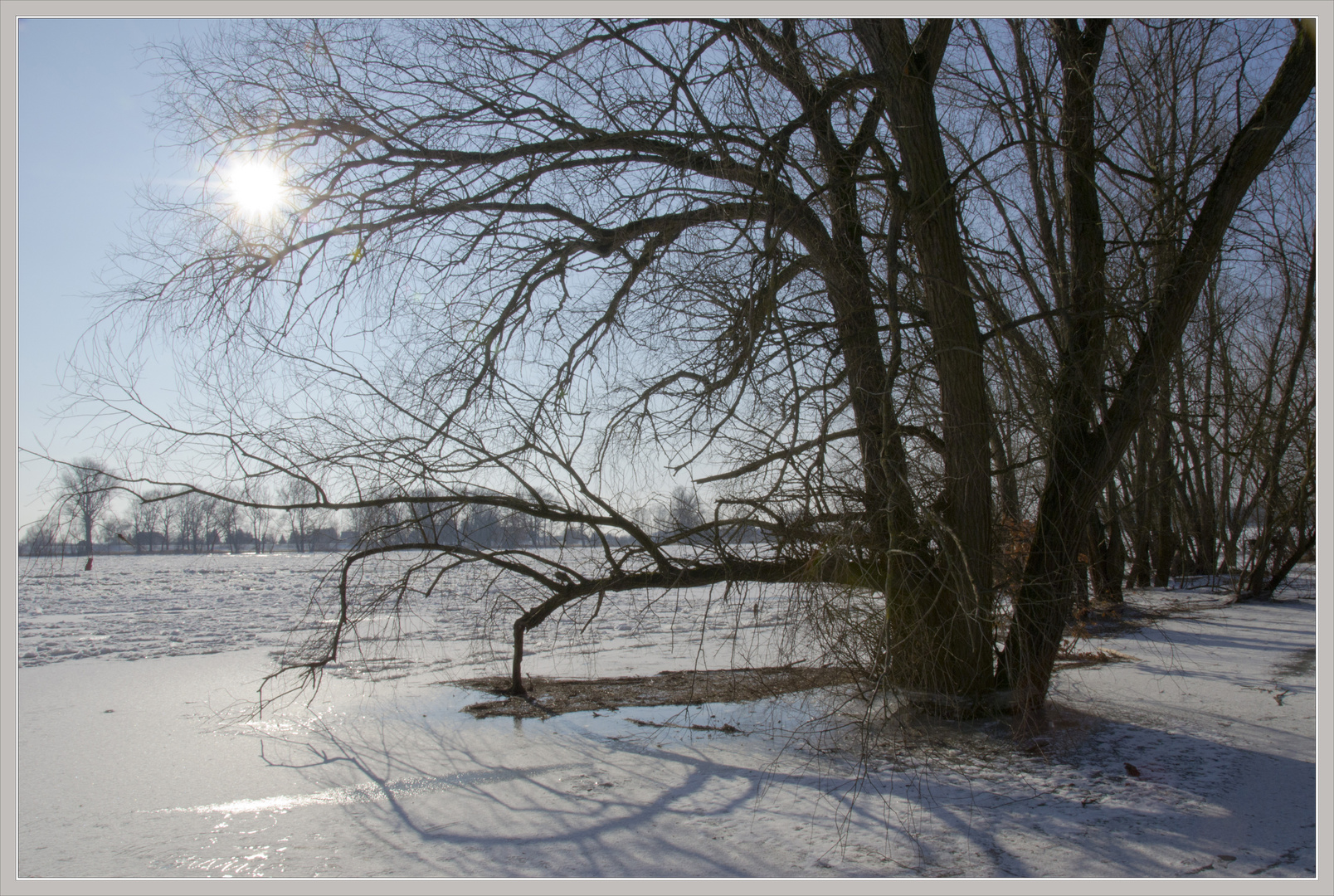 Spaziergang an der Elbe