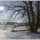 Spaziergang an der Elbe