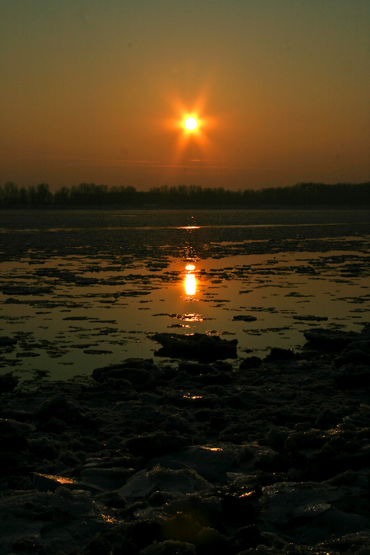 Spaziergang an der Elbe