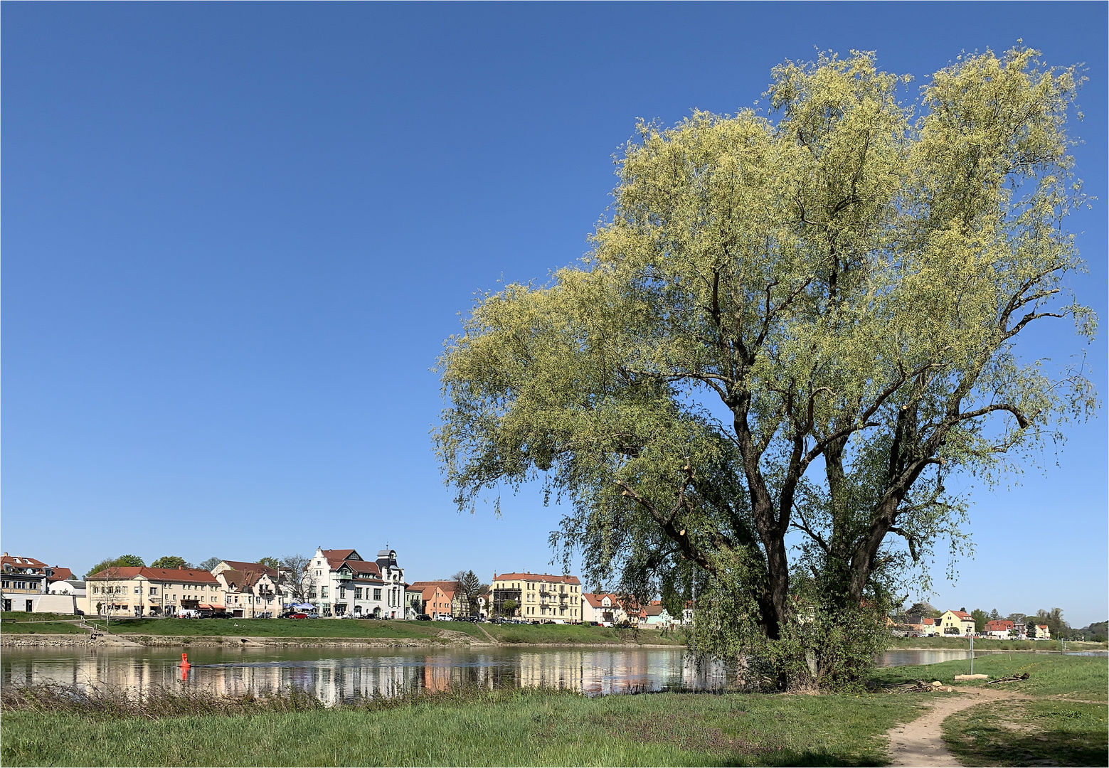 Spaziergang an der Elbe - Spiegeltag 04.08.2020 -