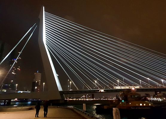 Spaziergang an der Erasmusbrücke