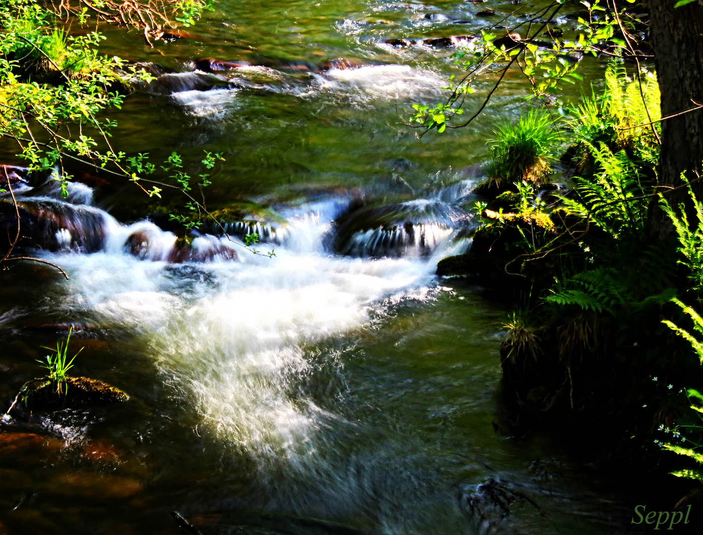 Spaziergang an der Eyach