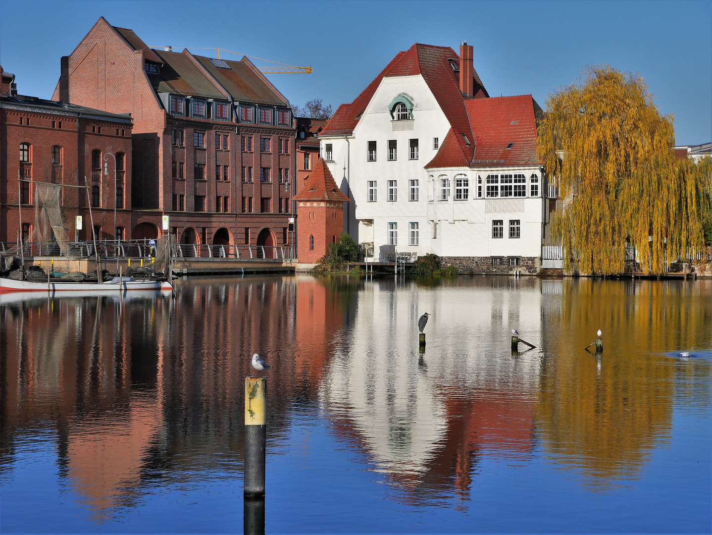 Spaziergang an der Havel