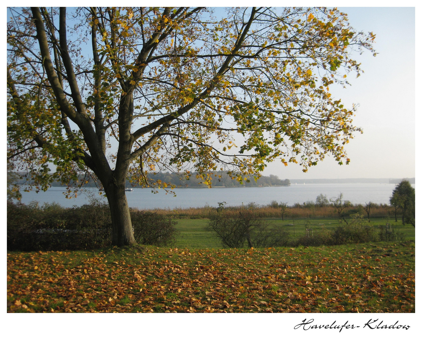 Spaziergang an der Havel ( Spandau- Kladow )