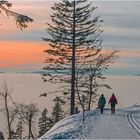 Spaziergang an der Hornisgrinde