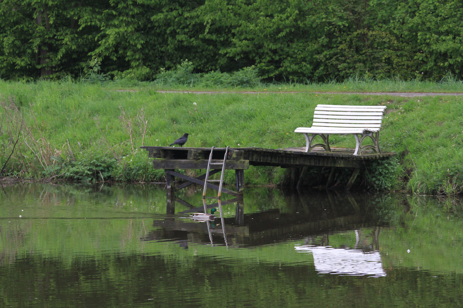 Spaziergang an der Hunte 08.05.2010 (4)