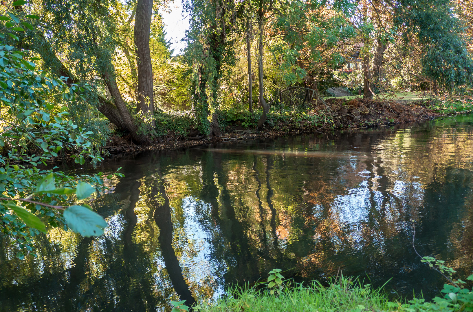 Spaziergang an der Ilmenau