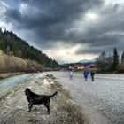 Spaziergang an der Isar