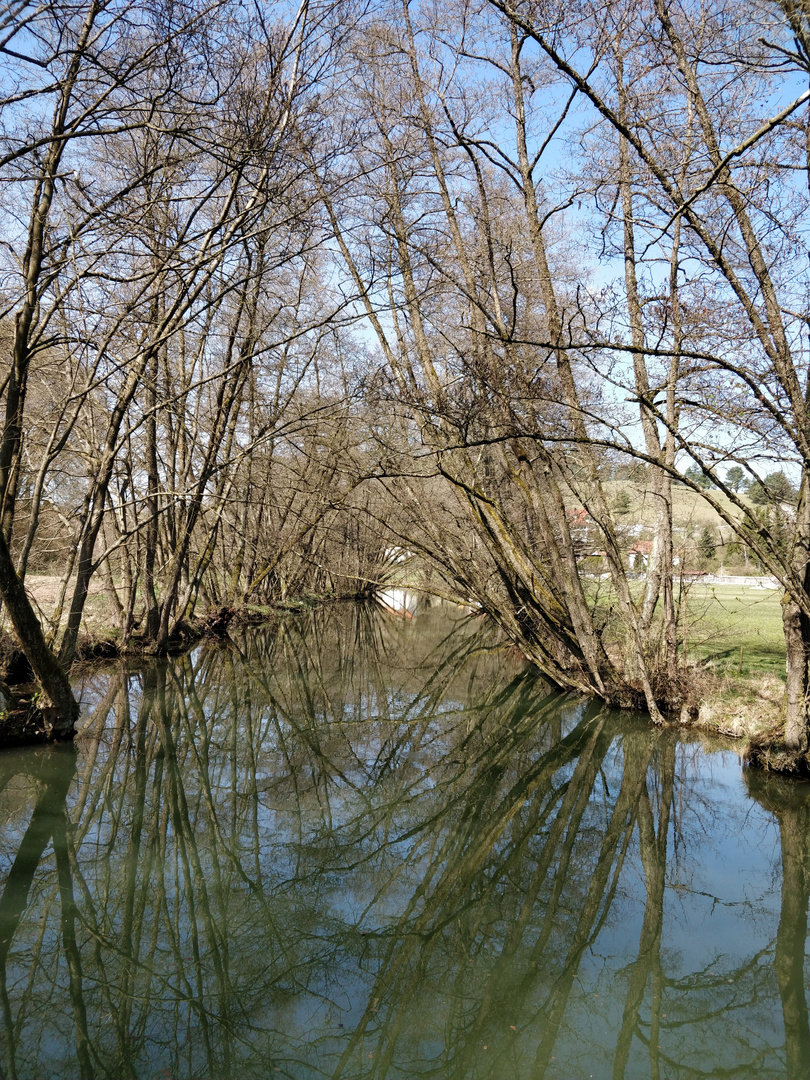 Spaziergang an der Laaber