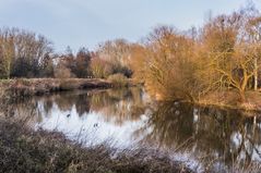 Spaziergang an der Leine I - Hannover