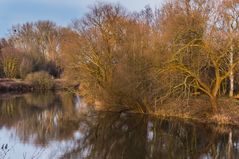 Spaziergang an der Leine II - Hannover