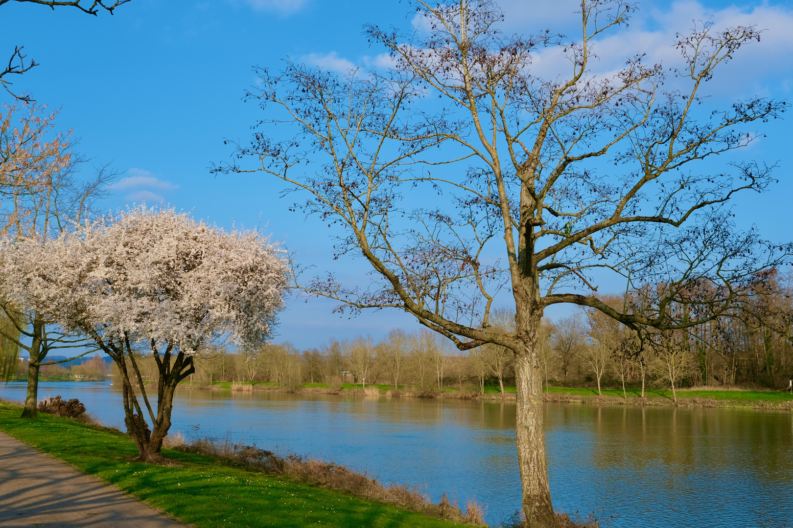 Spaziergang an der Mosel.2