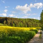 Spaziergang an der Naab...