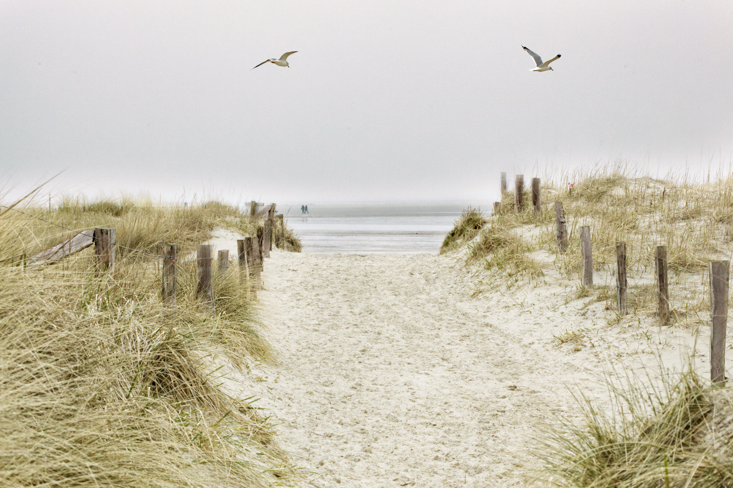 Spaziergang an der Nordseeküste