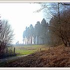 Spaziergang an der oder auf der Waterbör 02