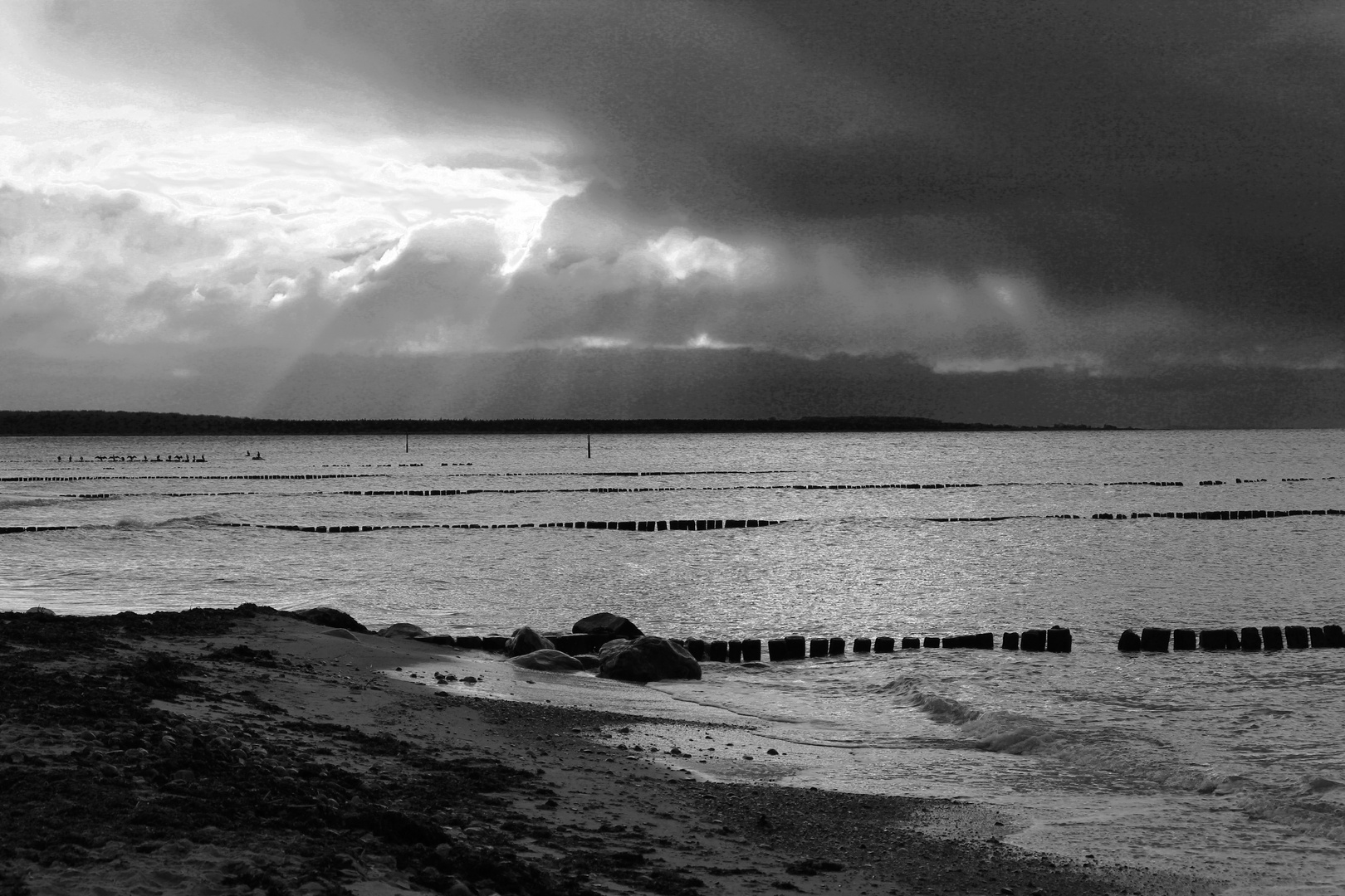 Spaziergang an der Ostsee