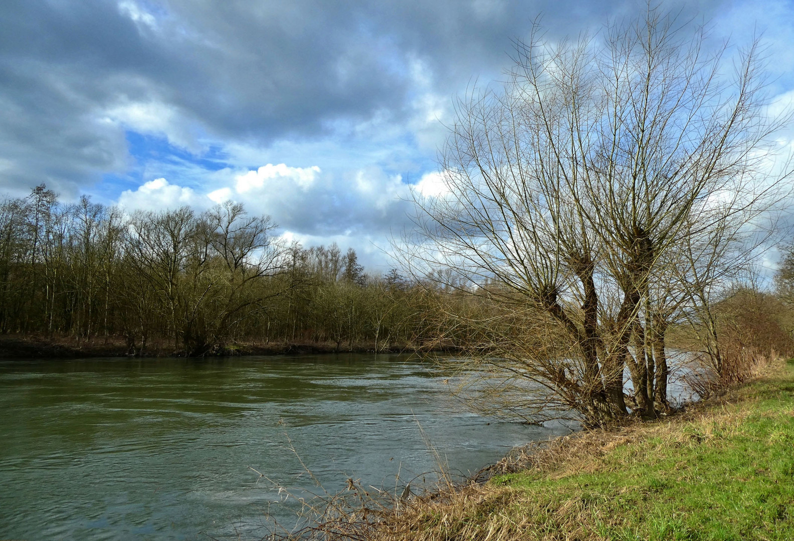 Spaziergang an der Ruhr - 13.2.2024 -