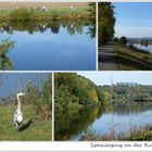 Spaziergang an der Ruhr (2)