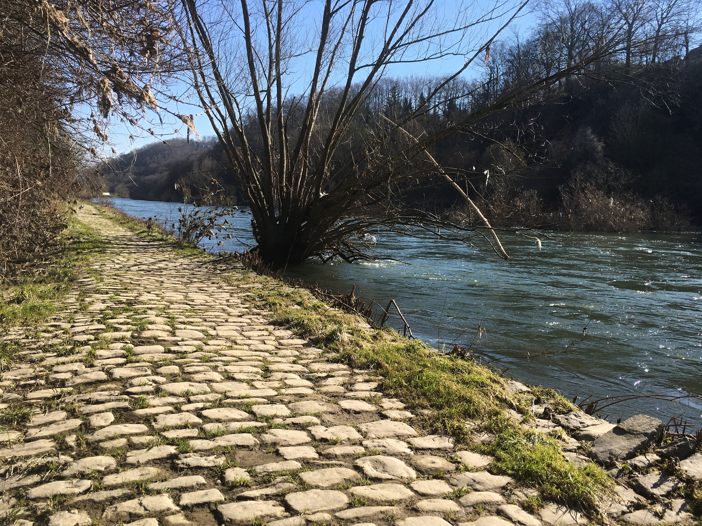 Spaziergang an der Ruhr