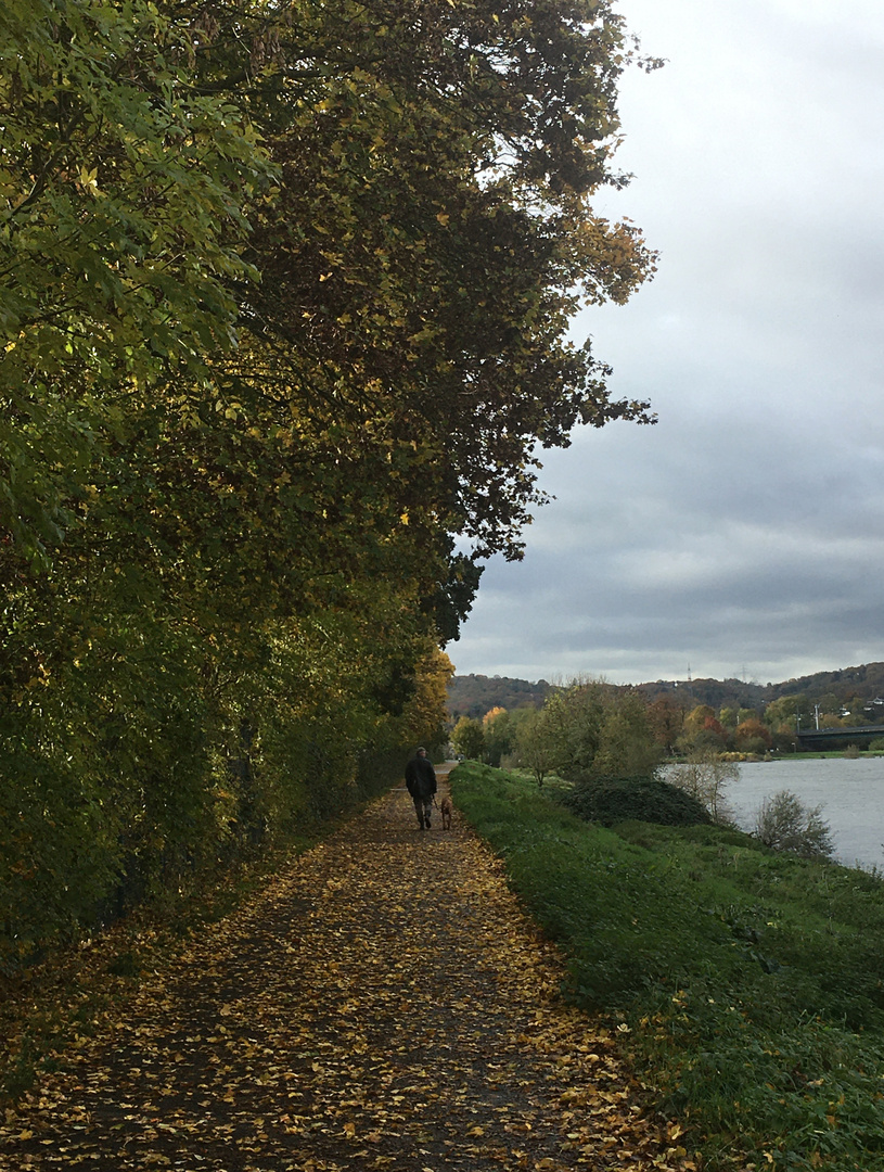 Spaziergang an der Ruhr